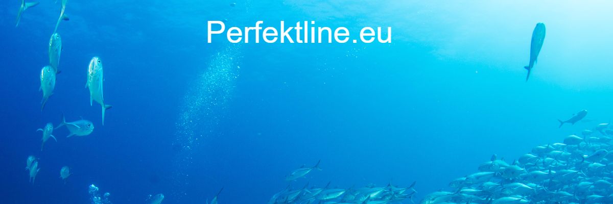 perfektline.eu